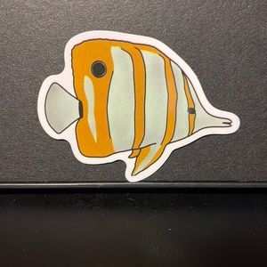 SALT WATER  FISH STICKER